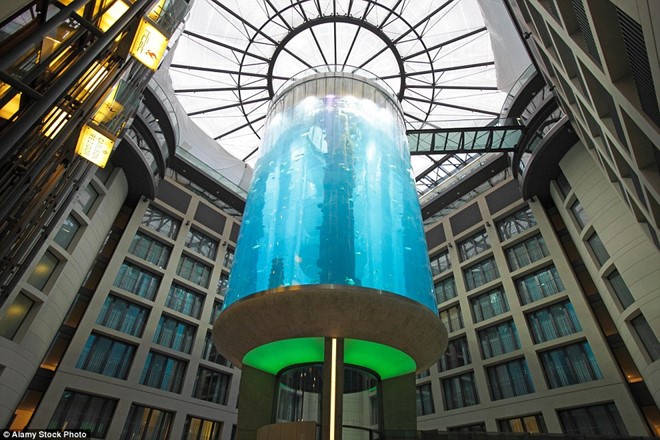 Thang máy AquaDom, Berlin, Đức